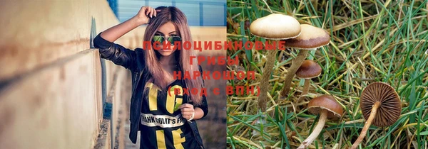 винт Баксан