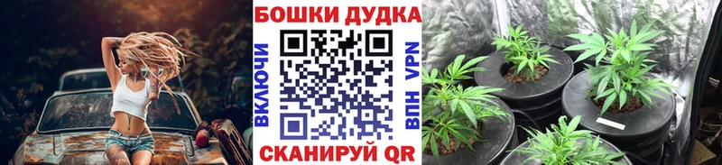 МАРИХУАНА планчик  Курлово 
